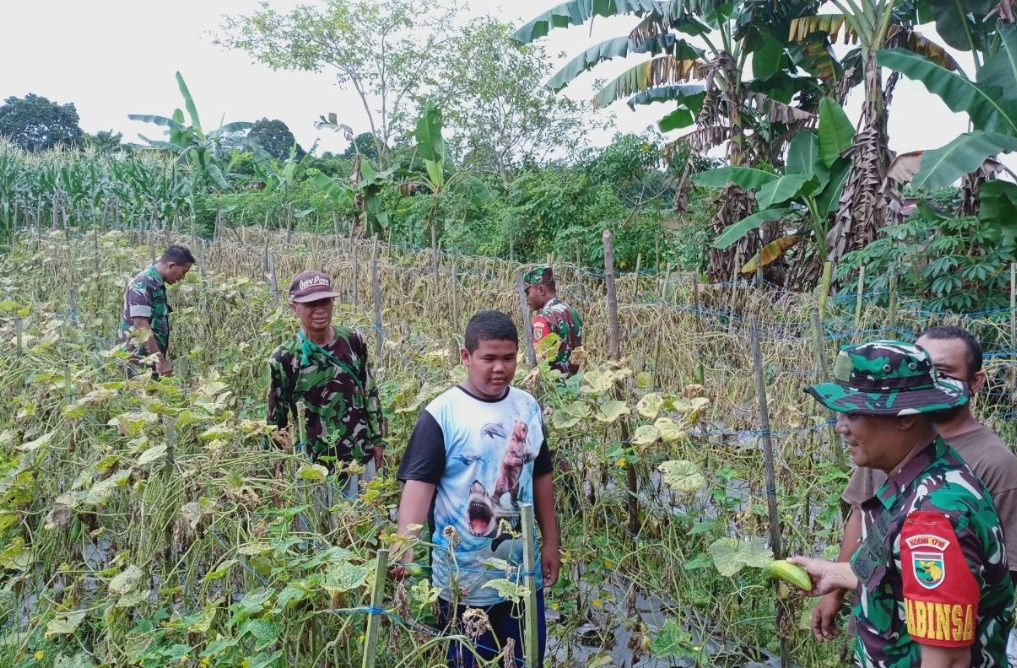 Babinsa Timika Sambangi Petani Timun Abadikini