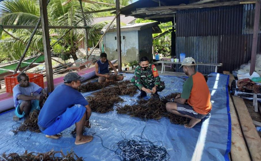 Jokowi Dorong Hilirisasi Rumput Laut - Abadikini.com