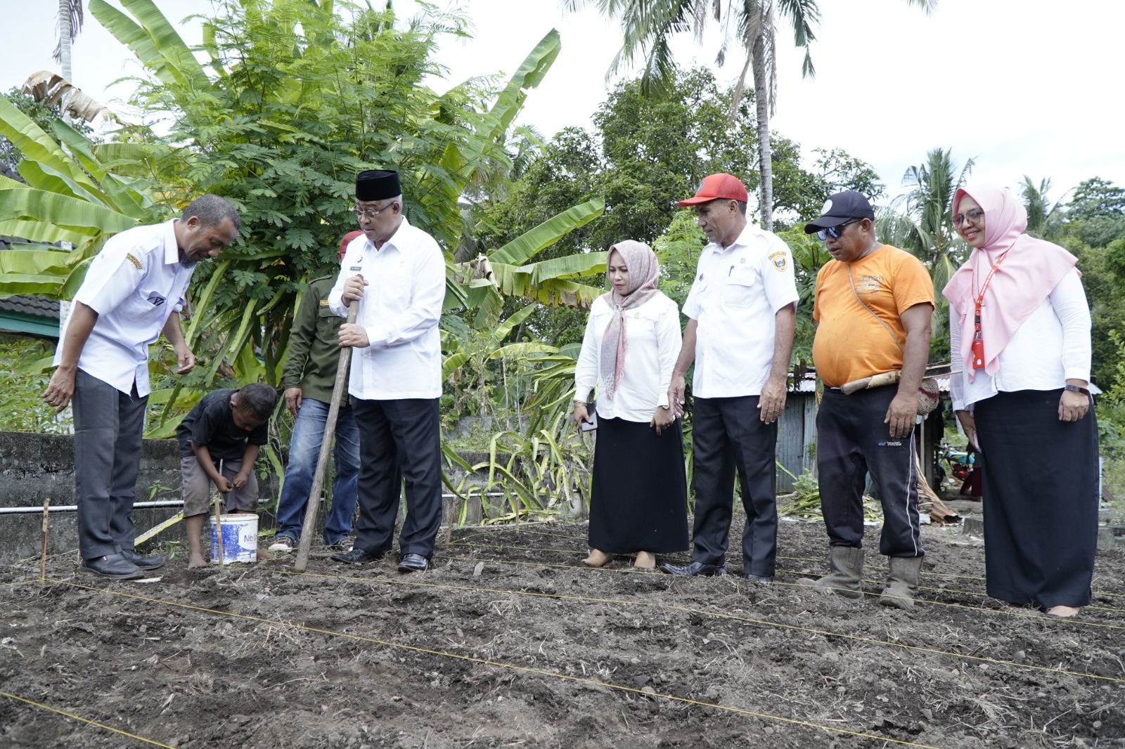 Cara Walikota Ali Ibrahim Menjaga Ketahanan Pangan di Kota Tidore