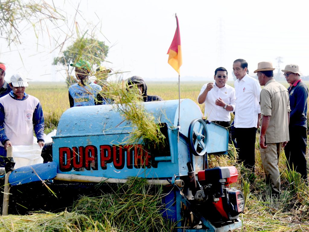 Panen Raya di Subang, Presiden: Diharapkan Tambah Cadangan Beras Kita