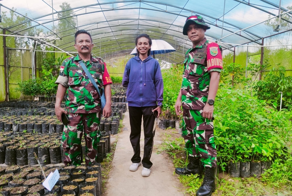 Peduli Lingkungan, Babinsa Koramil Timika Bersama Dinas Pertanian Mimika Siapkan Pohon Untuk Program Penghijauan