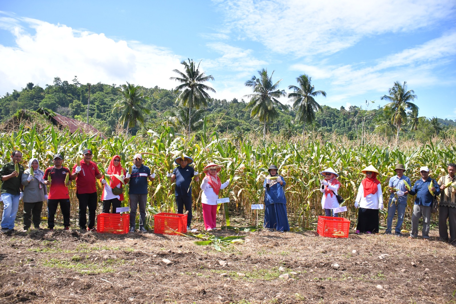 Sekda Kota Tidore Resmi Membuka Sekolah Lapang Tematik dan Panen Raya Jagung di Oba Utara