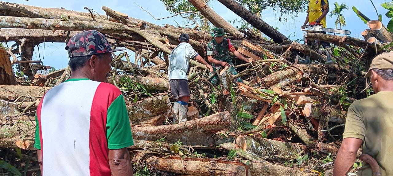 Babinsa Koramil Mapurujaya dan Warga Gotong Royong Bersihkan Pohon Tumbang di Timika