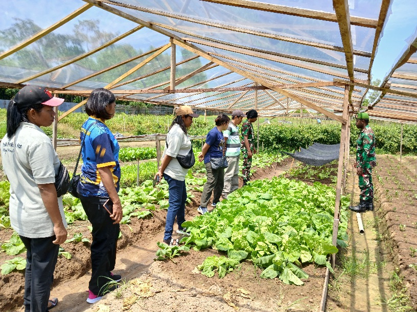 Kodim 1704 dan Dinas Pertanian Gelar Penyuluhan Tingkatkan Produktivitas Petani di Mappi