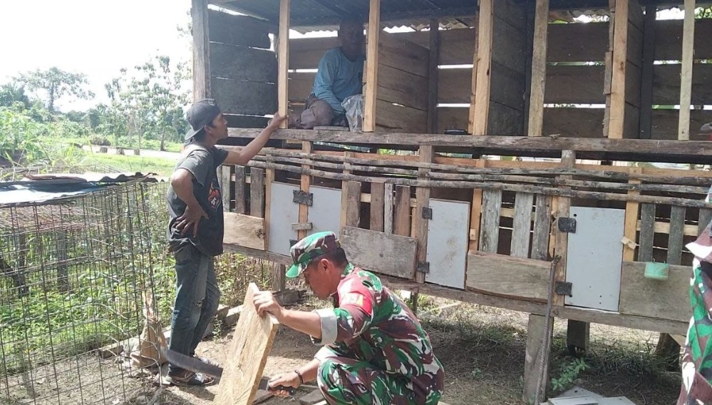 Ringankan Beban Pekerjaan Warga Binaan, Babinsa Koramil Mapurujaya Membantu Pembuatan Kandang Ayam